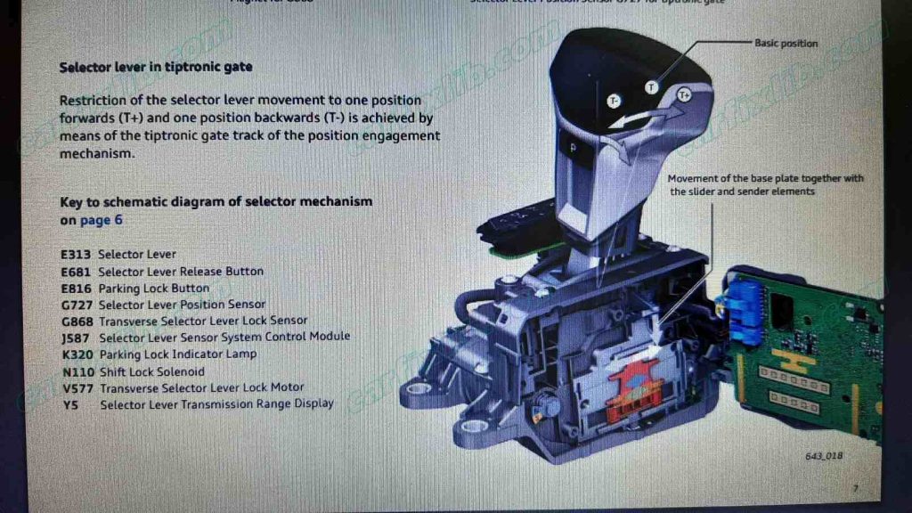 Inside selector level