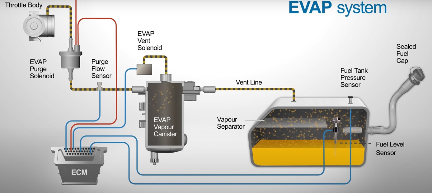 P0455 Porsche EVAP Operation and Diagnosis