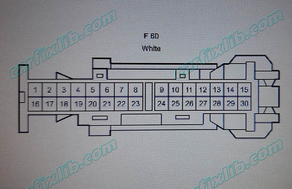 F60 connector amplifier assembly